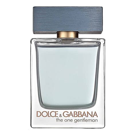 the one gentleman dolce gabbana 100 ml|d&g the one men.